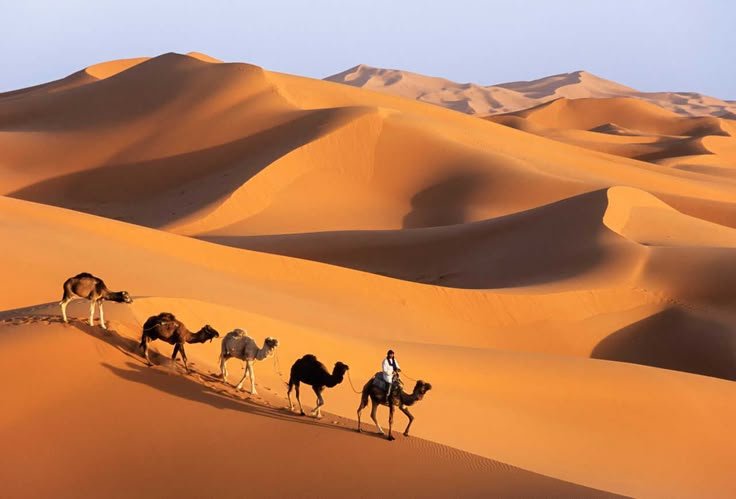 Sahara desert tour